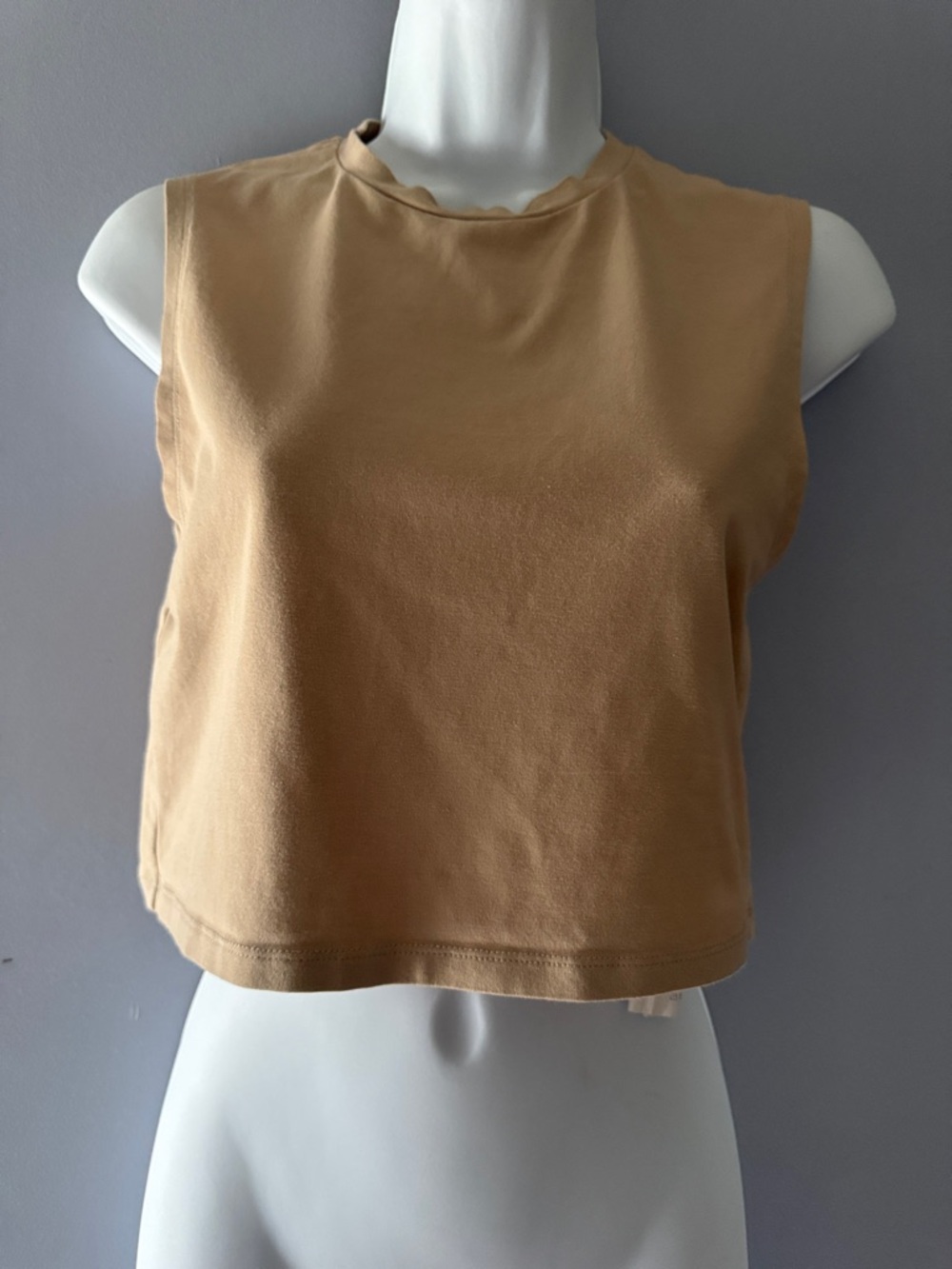 Zara Sleeveless Crop Top - Camel Brown L